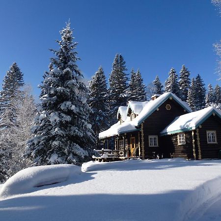 Domaine Le Bostonnais - Le Village En Bois Rond Ла-Тюк Экстерьер фото