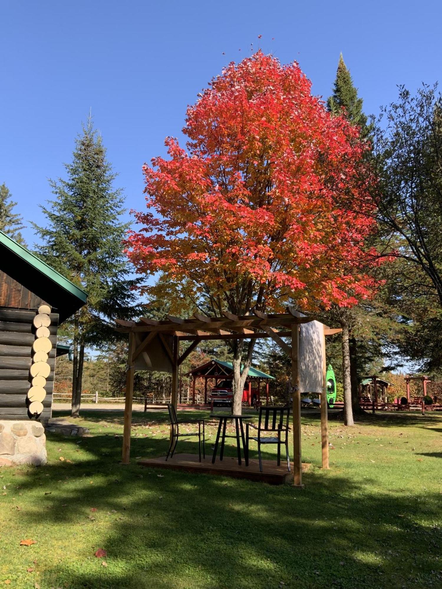 Domaine Le Bostonnais - Le Village En Bois Rond Ла-Тюк Номер фото