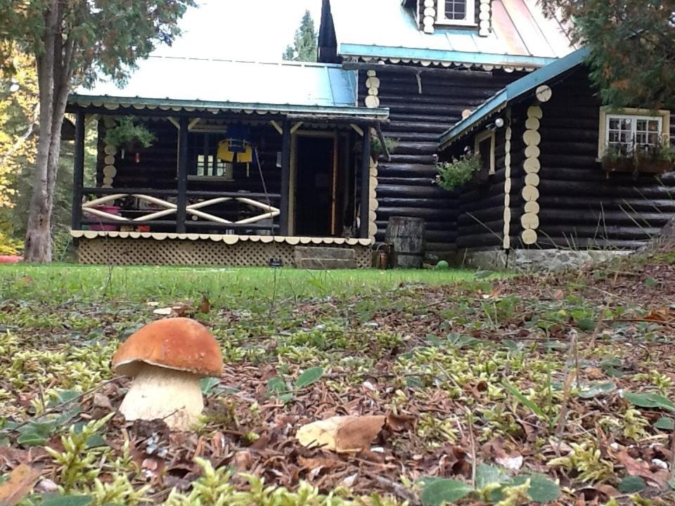 Domaine Le Bostonnais - Le Village En Bois Rond Ла-Тюк Экстерьер фото